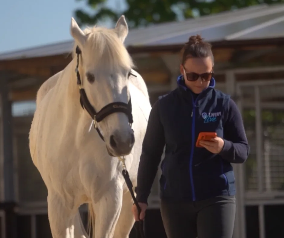 Image shows a lady leading a white horse while she looks at the LIVERYLive app on her phone